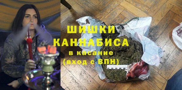 дмт Переславль-Залесский