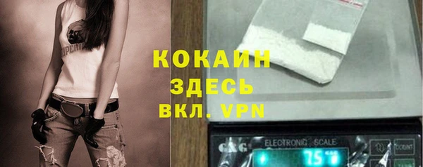 дмт Переславль-Залесский