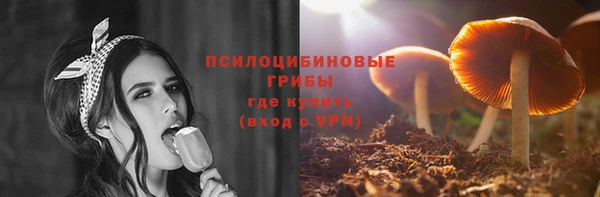 ПСИЛОЦИБИНОВЫЕ ГРИБЫ Аркадак