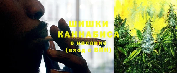 трава Пестово