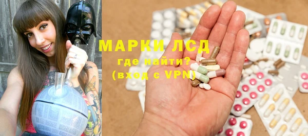индика Бежецк